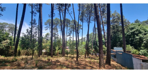 Terreno En Venta, Zona Avandaro