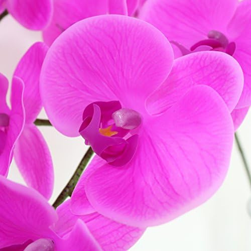 Htmeing Ramas De Flores Artificiales De Phalaenopsis De 38 P