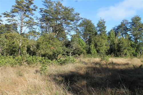 Imagen 11 de 30 de Agrícola En Venta En Puerto Varas