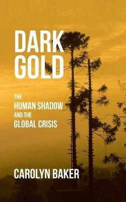 Libro Dark Gold : The Human Shadow And The Global Crisis ...