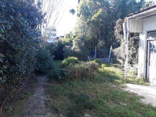 Imagen 4 de 5 de Venta - Remedios De Escalada - Lote De 8,66 X 41,06 M