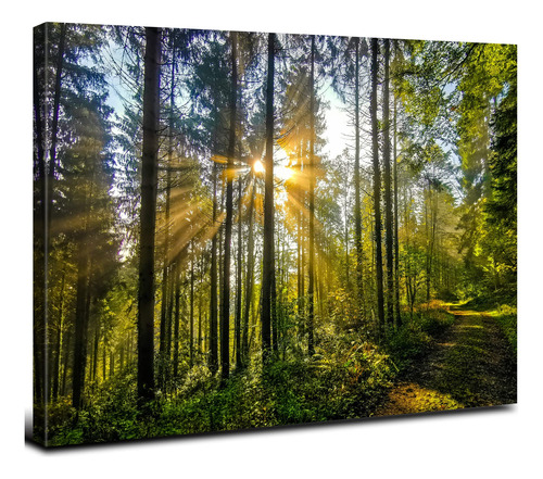 Arte De Pared De Paisaje De Bosque Verde Para Sala De Estar,