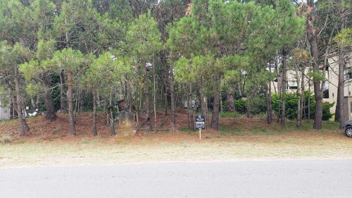 Imagen 4 de 6 de Lotes Sobre Av. Interbalnearia