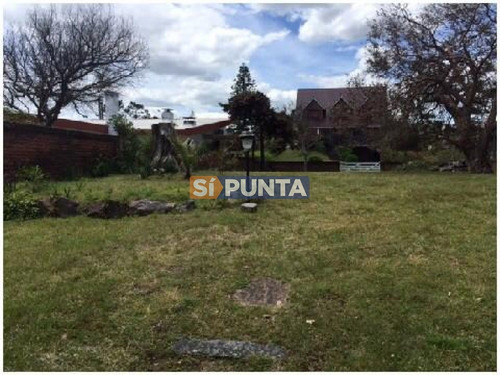 Imagen 14 de 14 de Casa En Playa Mansa - Punta Del Este