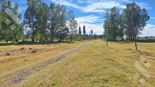 En Venta, Lotes En B° Don Vicente, Neuquén Capital.