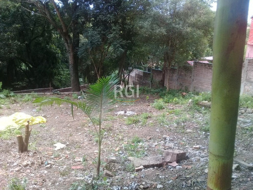 Terreno Em Teresópolis - Bt8604