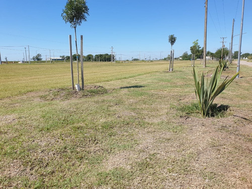 Vendo Lotes En Barrio Ecovida. Desde 300 M2. Ultimos Disponibles. Cerca De Rosario