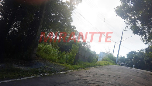 Imagem 5 de 13 de Terreno Em Serra Da Cantareira - São Paulo, Sp - 351642