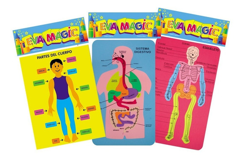 Rompecabezas Cuerpo Humano Esqueleto Anatomia Niños Goma Eva