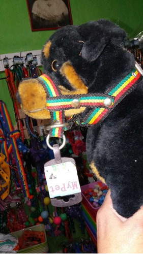 Imagen 1 de 1 de Bozal Tipo Halti Anti Tirones Talle 1 Collar De Adiestrar