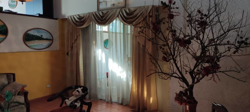 Imagen 7 de 14 de En Venta Casa En Trigal Centro 04244935350