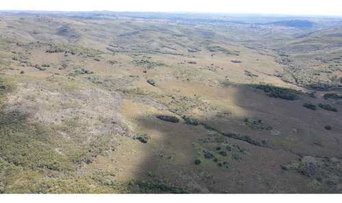 Campo En Rocha De 137ha (ref: Atm-6803)