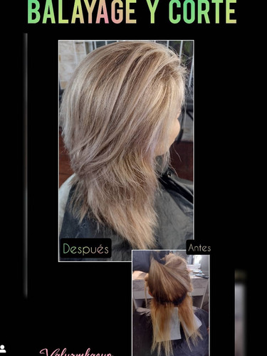 Pelu A Domicilio Balayage, Reflejos, Corte Y Nutrición