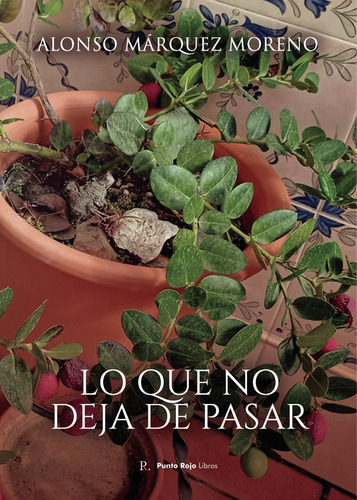 Lo Que No Deja Deja De Pasar ( Libro Original )