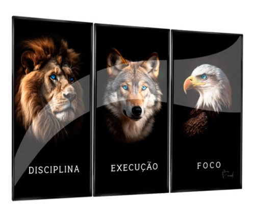 Disciplina,execução E Foco 93x62 Prisma V.escolha Seu Modelo