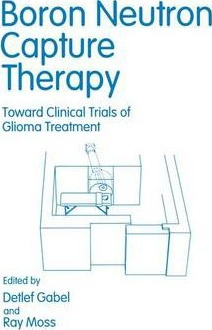 Libro Boron Neutron Capture Therapy - Renate Alberts