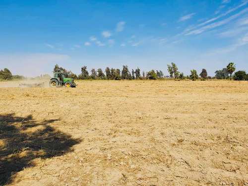 Imagen 8 de 11 de Terreno Agrícola En Pisco - San Clemente Ocasión De Venta