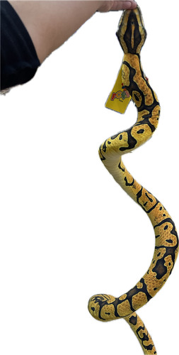 Cobra De PelĂșcia Grande Realista 200cm Piton Anaconda Snake