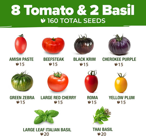 Semillas De Tomate Y Albahaca Tradicionales 10 Unidades