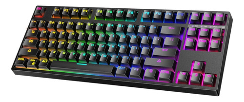 Teclado Mecanico Hiwings Hi100 | Switch Tkl | Blue Switch Color del teclado Negro