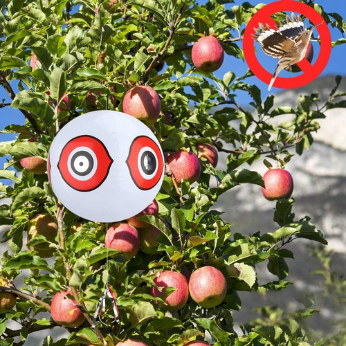 Ojos De Depredador De Pájaros, Ojos Terroristas, Globo Infla