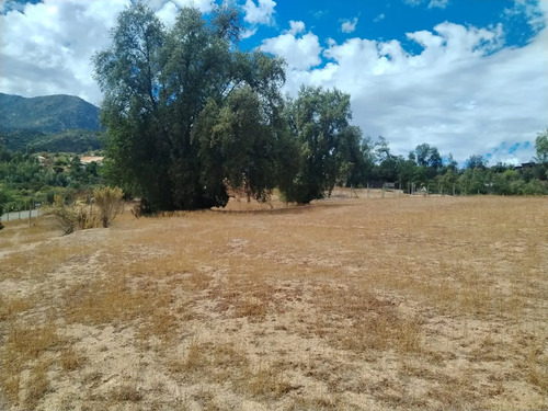 Venta Parcela Las Palmas -olmué