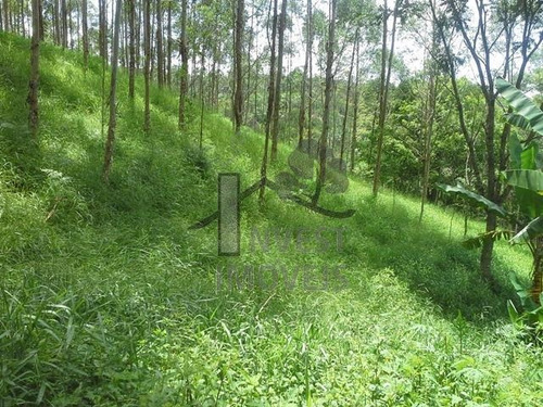 Imagem 1 de 8 de Cód 1828 - Área De 78.000 M² Com Nascente - 1828