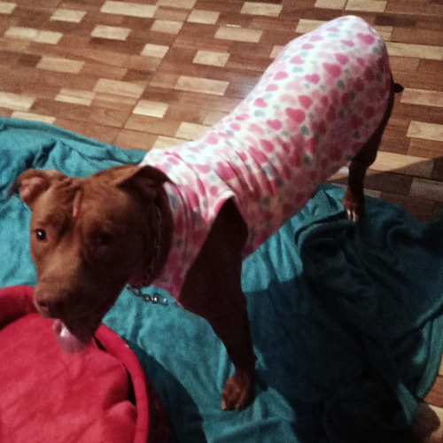 Imagem 4 de 5 de Roupa De Frio Agasalho Soft Para Cachorro De Grande Porte