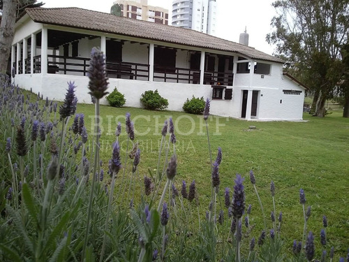 Imagen 3 de 30 de Excelente Terreno Multifamiliar + Terreno Sub Dividido Centro Villa Gesell.