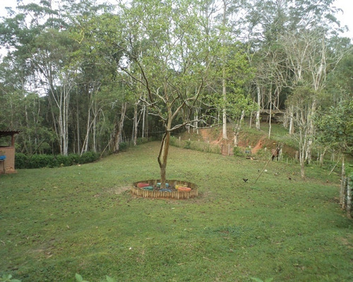 Imagem 12 de 23 de Sítio Contendo Casa Sede Aconchegante À Venda Em Juquitiba; - 327 - 32982714