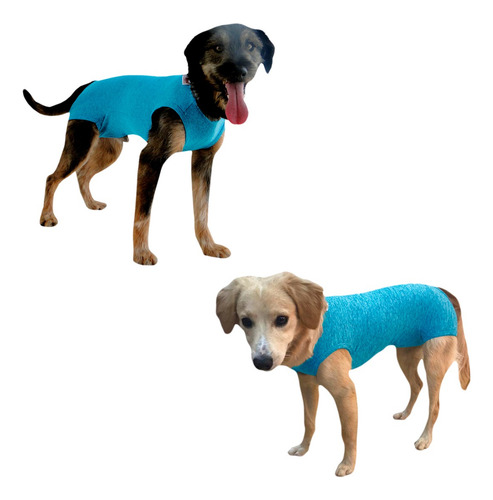 Roupa Para Cachorro Com Proteção Solar Uv 50+ Tam. 11 Ao 16