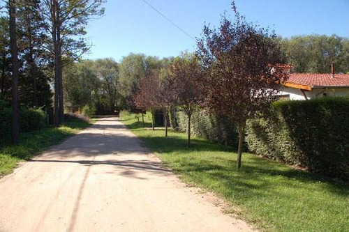 Imagen 9 de 18 de Vendo Casa En Villa Gral Belgrano - Cordoba