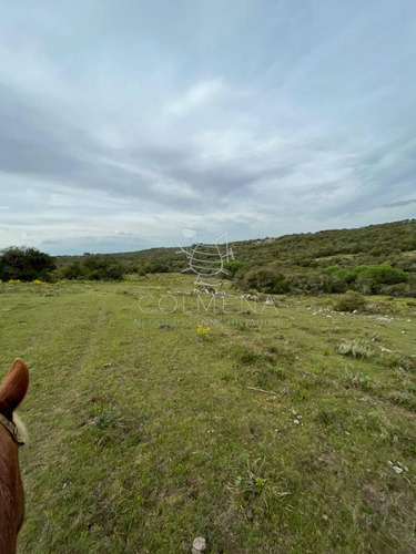 Imagen 5 de 11 de Campo En Carape - Con Hermosa Cañada - Oportunidad !!!!! - Zona Rural