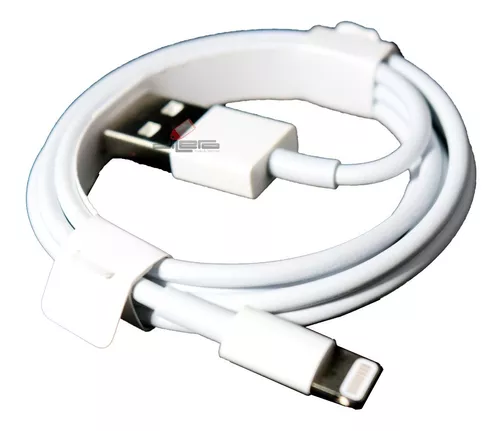 Cargador Apple 12w iPad iPhone + Cable Lightning Original