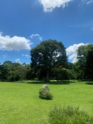 Imagem 18 de 28 de Sítio Lindo Em Piracaia, Totalmente Plano