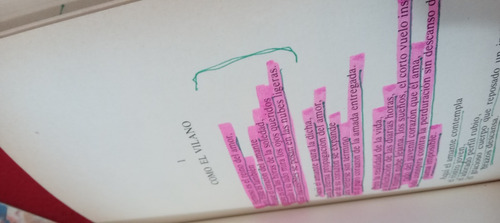 Vicente Aleixandre Poesía Destrucción O El Amor 4 Libros