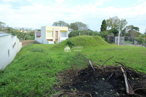 Imagem 8 de 13 de Terreno De Esquina Casemiro De Abreu 866m² Bairro Perpétuo Socorro - 12860