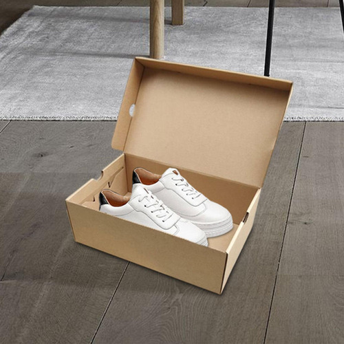 . Caja Almacenamiento Zapatos, Estuche 30cmx18cmx10cm