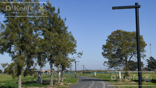 Lote En Venta En Puerto Nizuc - Oportunidad De Inversión En Guillermo Hudson