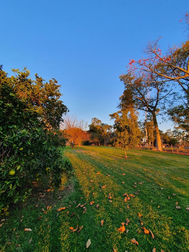 Imagen 4 de 29 de Experiencia Diferente,relax,naturaleza,golf,equitacion,avent