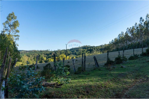 Predio Forestal En Venta 52 Ha. - Mantahue Gorbea
