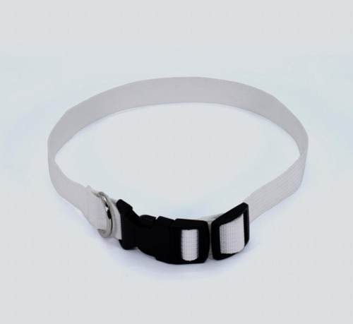 Collar Personalizado Para Mascotas