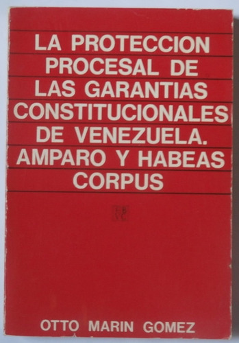 Proteccion Procesal Garantias Constitucionales Venezuela