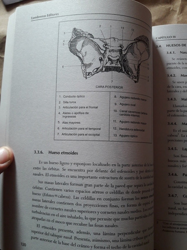 Imagen 7 de 10 de Libro De Anatomia Lumbreras