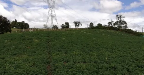 Hermosa Finca En Venta En El Municipio De La Unión Antioquia ~