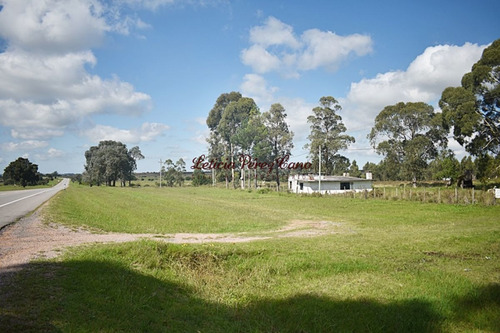 Imagen 4 de 12 de Venta Chacra En San Carlos, Ruta 9