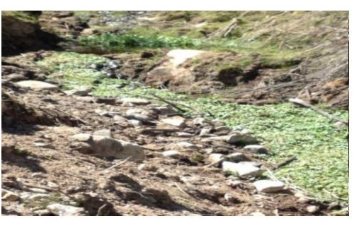 Agrícola En Venta En Monte Patria