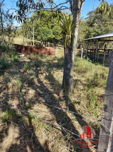 Imagem 19 de 23 de Sítio À Venda No Bairro Centro - Lagoinha/sp - 1787
