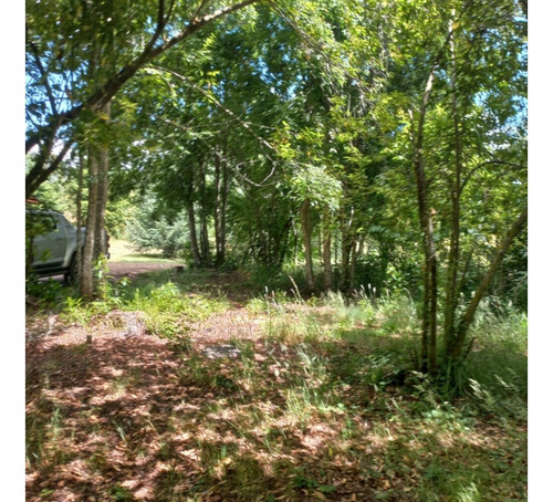 Venta / 2 Parcelas Molco - Una Con Casa / Ambas O Separadas