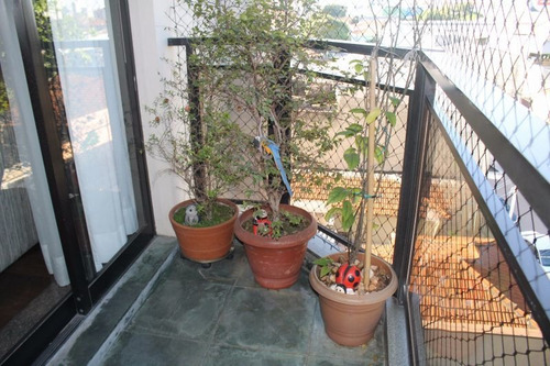 Imagem 2 de 30 de Apartamento - Ref: 3120
